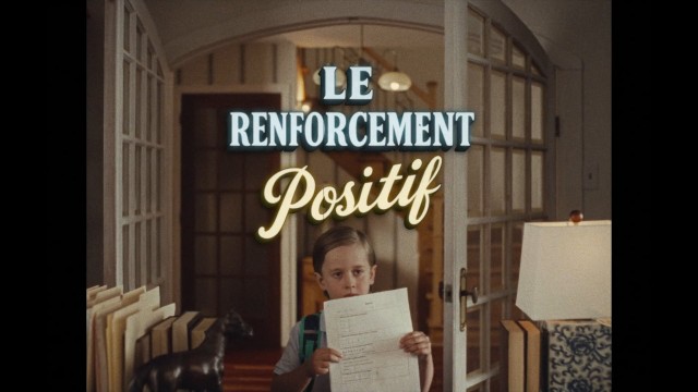 Les Producteurs de lait du Québec | Fromages d'ici 2025 «Une pointe de fierté» - Les collants